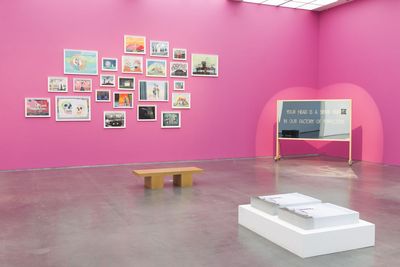 Exhibition view: The Stars Were Aligned for a Century of New Beginnings, MCA Chicago, (10 December 2016–19 March 2017).