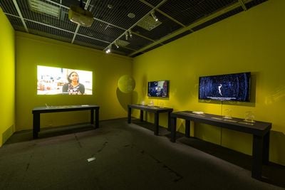 Ku Kuang-Yi, Millenium Ginseng Project (2018–2019). Video installation. Exhibition view: CHRONIQUES, the Biennale of Digital Information, Friche la Belle de Mai, Plateau 4, Marseille (7–17 January 2021).