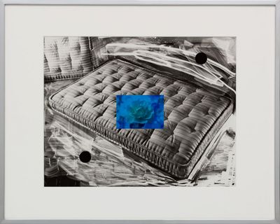 Elad Lassry, Untitled (Carpet, Coral Hawkfish) (2019). Silver gelatin print, offset print on paper, stainless steel, walnut frame. 28.6 x 36.2 x 5.1 cm. Courtesy 303 Gallery.