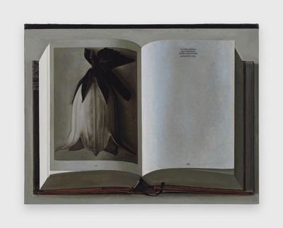Liu Ye, Book Painting No. 21 (Karl Blossfeldt, The Complete Published Work, Taschen GMBH, 2017) (2018). © Liu Ye.