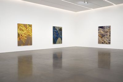 Exhibition view: Nigel Cooke: New Paintings, Pace Gallery, New York (31 January–29 February 2020). Courtesy © Nigel Cooke and Pace Gallery.