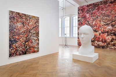 Exhibition view: Trevor Paglen, Bloom, Pace Gallery, London (10 September–10 November 2020). © Trevor Paglen.