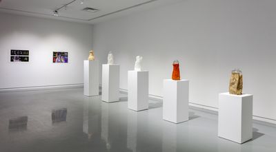 Exhibition view: Michael Joo, Sensory Meridian, Kavi Gupta, Elizabeth St, Chicago (14 January–13 March 2021).