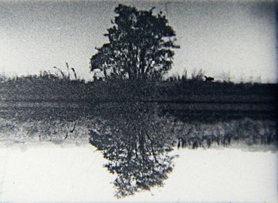 Guy Sherwin, Tree Reflection #4 (1998). Installation for 16 mm projector, glass, 3 minute film loop.