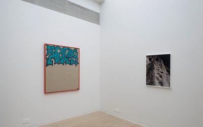 Exhibition view: Trip of the Tounge, Curated by Piper Marshall, Simon Lee Gallery, Hong Kong (22 September–27 October 2017).