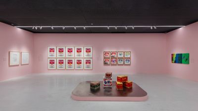 Floor installation of boxed commodities in front of Campbell soup prints.