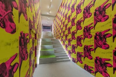 Bright pink and yellow prints showing cow head covering corridor walls of exhibition space.