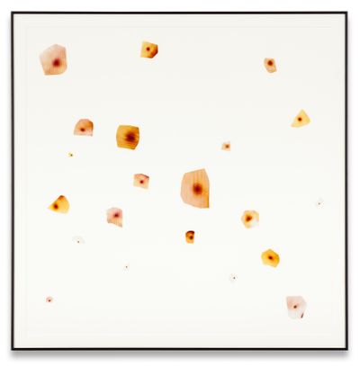 John Waters, 21 Pasolini Pimples (2006). 21 uniquely cut C-Prints. 90.2 × 90.2 cm (framed). © John Waters.