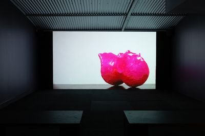 An amorphous pink shape bound in pink wrapping is captured on a screen, showing in a darkened gallery space.