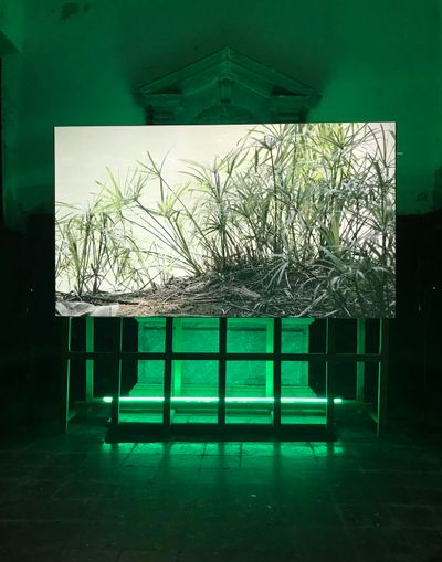 Installation view: Mónica de Miranda, Path to the Stars (2022), in no longer with the memory but with its future, curated by Paula Nascimento – Beyond Entropy Africa at the Oratorio di San Ludovico, Venice (23 April–29 May 2022). Photo: the author.