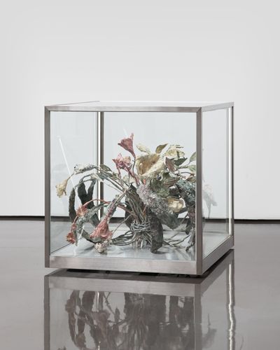 Huh Suyon, Quarantine (2022). Glass box with flowers made of hanji. 65 x 65 x 65 cm.