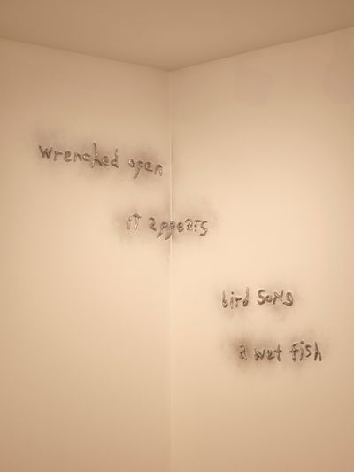 Lou Lou Sainsbury, Fragments of Songbook (2022). Wax lettering on gallery walls, spray paint. Variable dimensions. Exhibition view: Earth is a Deadname, Gasworks, London (7 July–18 September 2022). Commissioned and produced by Gasworks.
