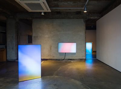 Taeyoon Kim, Steady Griffins (2014). Five-channel video, random loop. Dimensions variable. Exhibition view: Jung-ang Manpower, Opsis Art, Seoul (2015).