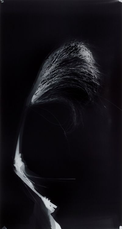 Simryn Gill, Photogram #7 (2020). From the series 'Clearing' (2020). Photogram. 190.7 x 101.5 cm. Collection of Art Gallery of New South Wales (AGNSW). Commissioned with funds provided by the AGNSW Foundation 2021.