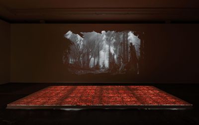 Front to back: Adrian Ganea, Forest Floor (2022). Acrylic resin, wood, light bars. 12 x 250 x 550 cm; Young tree vomiting demonstrating lamentation (2021). 3.D. animation video. Exhibition view: Adrian Ganea, Ghost Trade, Galeria Plan B, Berlin (29 April–25 June 2022).
