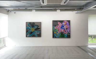 Exhibition view: Koeda Shigeaki, Flower, between the eyes, Kamakura Gallery, Kamakura (23 April–11 June 2022).