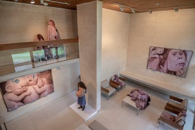 Exhibition view: Alpha60 Kiosk in Collaboration with Patricia Piccinini, Heide Modern, Melbourne (27 February–14 March 2021).