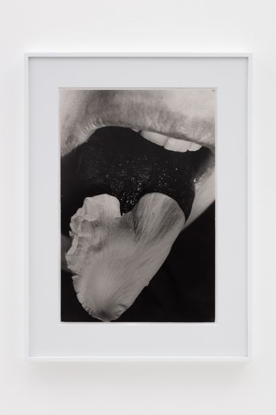 Rose Finn-Kelcey, Restored to her Natural State by Nibbling Rose Petals (1977). Black and white photograph 64.8 x 48.4 cm (framed). Unique. © Estate of Rose Finn-Kelcey.