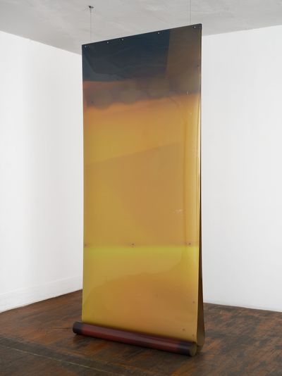 Lotus L. Kang, Molt (New York-Woodridge-Los Angeles-) (2022-24). Tanned and unfixed film (continually sensitive), spherical magnets, approx. 361 x 127 cm; approx. 85 x 127 cm; installation dimensions variable.