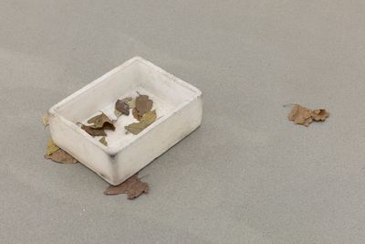 Hany Armanious, Image (2024). Pigmented polyurethane resin, gouache. 13.5 x 80 x 60 cm. Exhibition view: Stone Soup, Henry Moore Institute, Leeds (12 July–3 November 2024).