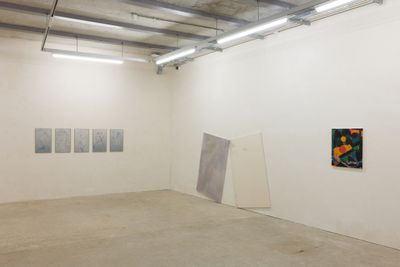 Exhibition view: Matt Connors, Finding Aid, Goldsmiths Centre for Contemporary Art, London (8 March–2 June 2024).