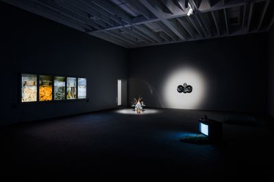 Exhibition view: The Color of Energy, Salzburger Kunstverein, Salzburg (21 September–24 November 2024).