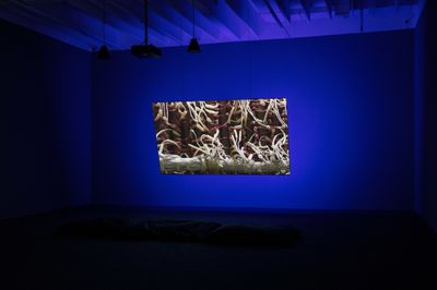 Emilija Škarnulytė, T 1/2 (2019). HD film with sound. 18 min. Camera: Emilija Škarnulytė, Jokūbas Čižikas, Vasco Pinhol; CGI: Gregory Blunt; sound design: Jokūbas Čižikas; production: Mirror Matter Productions.