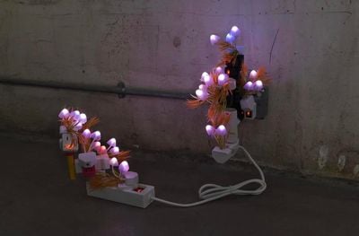 Trevor Yeung, Night Mushroom Colon (Twelve) (2022). Night lamp, plug adaptors. 54 x 55 x 45 cm.