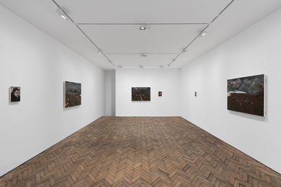 Exhibition view: Nika Kutateladze, They were born together, They will die together, Modern Art, London (20 January–17 February 2024).