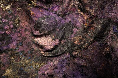 Kirtika Kain, Tar (2024) (detail). Gold leaf, tar, pigment, acrylic paint, rose petals, wax, Holi pigment, hessian.