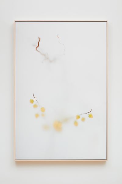 Su-Mei Tse, Moment (Rue du Pont-aux-Choux), 2019. Inkjet on fine art paper mounted on Dibond.