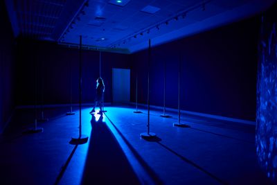 Array Collective, The Druithaib's Ball (2021). Installation view. Photo: David Levene.