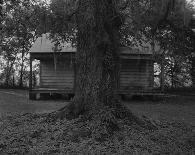 Dawoud Bey, Tree and Cabin, from the series In This Here Place (2019). Silver gelatin prints mounted to dibond, 48 x 59 in. Image