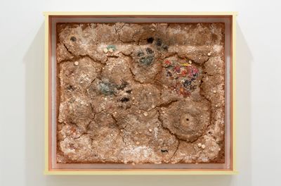Nour Mobarek, Reproductive Logistics (2020). Trametes versicolor, apple wood pellets, kraftpaper, watercolour, hair, sperm, acrylic, and resin. 166.4 x 190.5 × 31.8 cm.