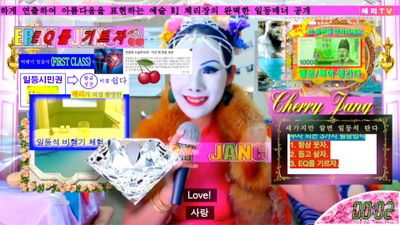 Sungsil Ryu, BJ Cherry Jang 2018.9 (2018). Single channel video.