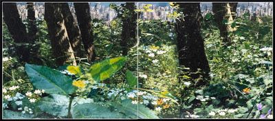 Azade Köker, From a bee's perspective (2022). Mixed media on canvas. Diptych 130 x 300 cm.