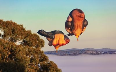 Patricia Piccinini, Skywhalepapa (2020), right, and Skywhale (2013), left.