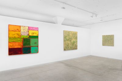 Exhibition view: Ai Jing, All the World is Green 2019–2023, Helen J Gallery, Los Angeles (27 February–16 April 2024).
