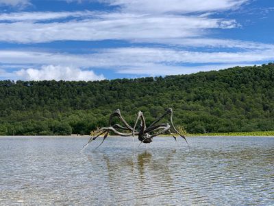 Louise Bourgeois, Crouching Spider (2003). Château La Coste, Provence, France. Photo: Georges Armaos.