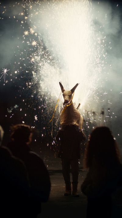 Angelica Mesiti, The Rites of When (2024) (video still). Seven-channel digital video installation, colour, sound, approx 30 min, collection of the artist. Commissioned by the Art Gallery of New South Wales for the Tank, 2024.