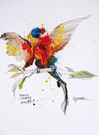 Ralph Steadman, Nextinction Rainbow Lorikeet.