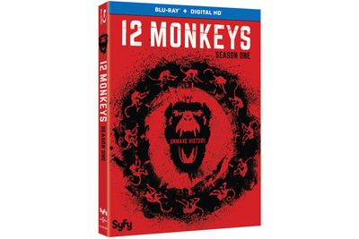 A monkey stencil features on the cover of the 12 Monkeys DVD.