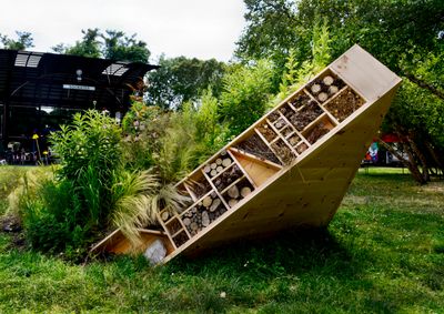 Landon Newton, TILT (what if these plants get out) (2024). Exhibition view: Socrates Sculpture Park, New York City (2024).