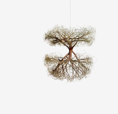 Ruth Asawa, Untitled (S.390, Hanging Tied-Wire, Double-Sided, Center-Tied, Multi-Branched Form with Curly Ends) (1963). Copper wire. 20 × 20 × 20 in. (50.8 × 50.8 × 50.8 cm). Black Mountain College Museum + Arts Center, gift of Rita Newman.