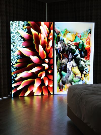 Refik Anadol, Machine Hallucinations: LNM Coral.  Loop Lab Busan (24–26 April 2025).
