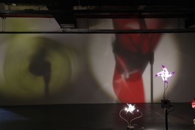 鸟头，《有风》，2018。展览现场："神秘参与"，McaM明当代美术馆，上海（2020年6月27日至11月15日）。图片提供：McaM明当代美术馆。