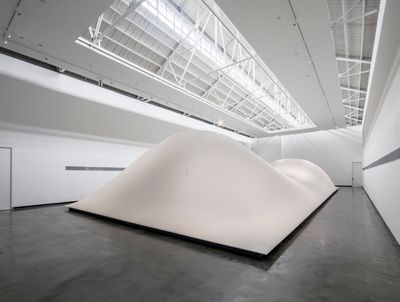 汤米·格伦德和佩特里·尼苏南，《流动的风景》，2004/2020。聚酯布、万花板、木材、风扇、数字调光器、电脑，24.4×11×3.5m。图片提供：艺术家。