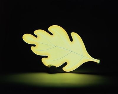 Andrea Branzi, Foglia Lamp (1988). Acrylic glass, electro-luminescent leaf. 25 x 45 cm. Collection Centre Pompidou, Musée national d'art moderne, Paris. © Adagp, Paris. Photo: © Jean-Claude Planchet, Centre Pompidou.