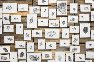 Rayyane Tabet, Basalt Shards (2017) (detail), from 'FRAGMENTS' (2016–ongoing). 1000 charcoal rubbings on paper, wooden pallets. Dimensions variable. Exhibition view: Kunstverein Hamburg, Hamburg (25 November 2017–18 February 2018).