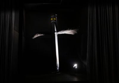 Steven Rhall, Air dancer as black body (2019). Exhibition view: NGV Triennial 2020, NGV International, National Gallery of Victoria, Melbourne (19 December 2020–18 April 2021). © Steven Rhall. Photo: Tobias Titz.